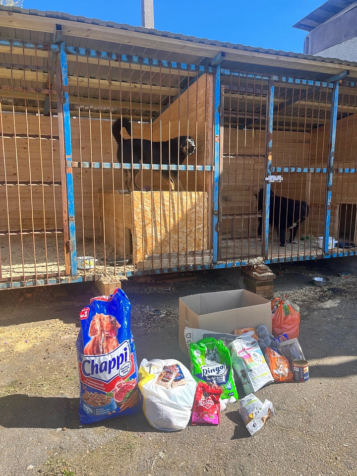 Сотрудники районной администрации передали помощь в питомник для бездомных животных