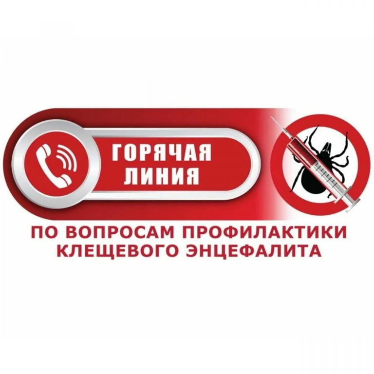 В Ленинградской области запущена «горячая линия» по профилактике клещевого энцефалита