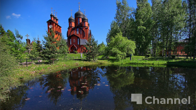В Ленинградской области осталось девять пригодных для купания водоёмов