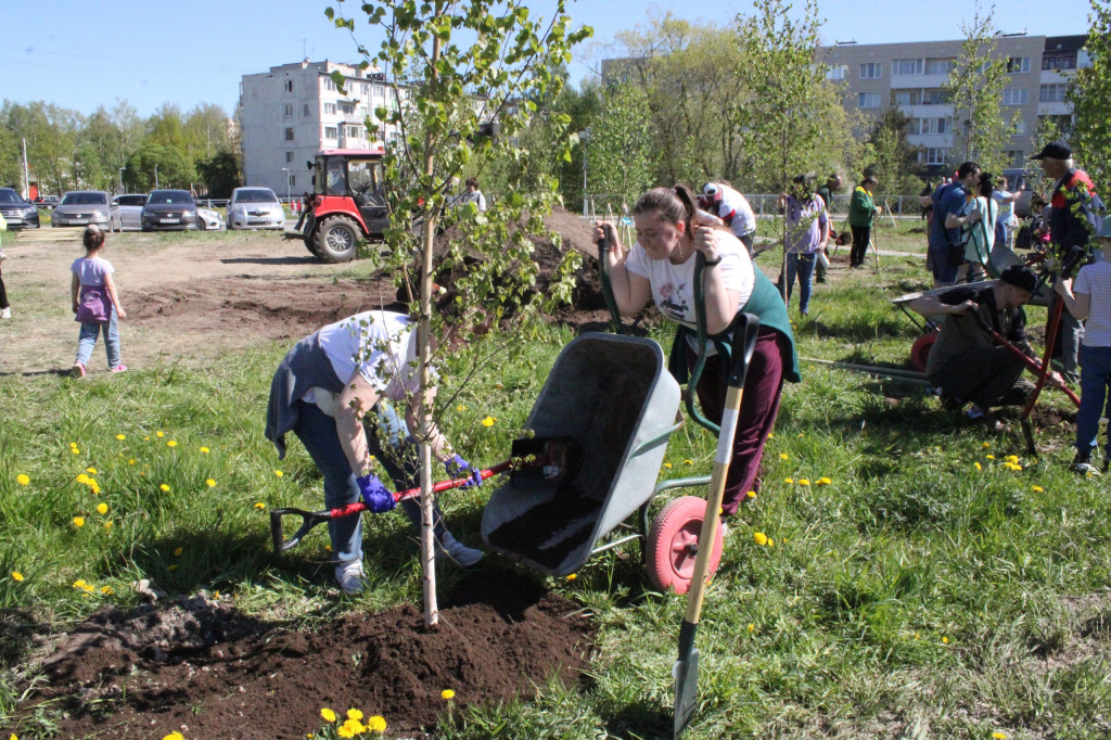 В поселке Новоселье прошла Всероссийская акция «Посади дерево» 