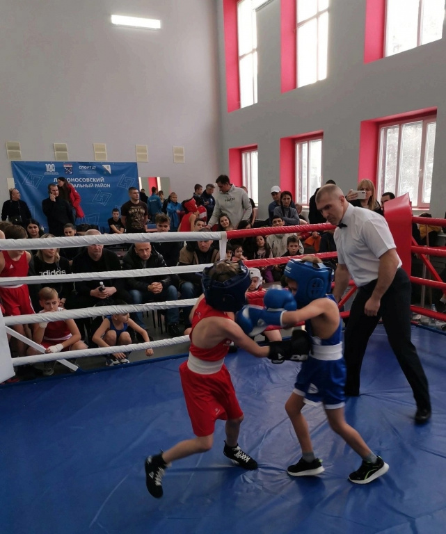 В Культурно-спортивном центре Ропшинского поселения состоялся традиционный открытый турнир Ломоносовского района «Бокс против наркотиков»