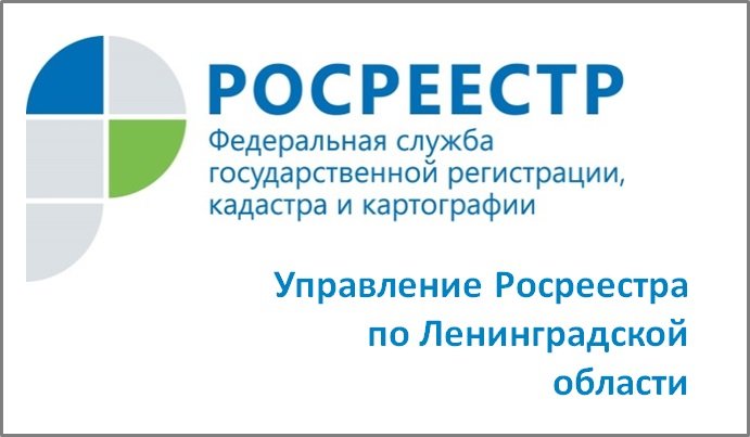 Управление Росреестра по Ленинградской области рассказывает, как проверить земельный участок