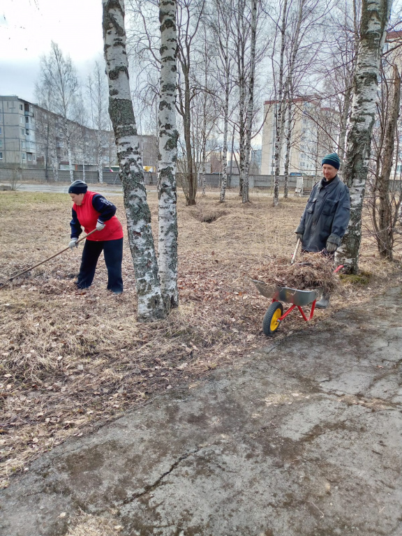 На объектах Минобороны в Ломоносовском районе Ленинградской области проводятся субботники