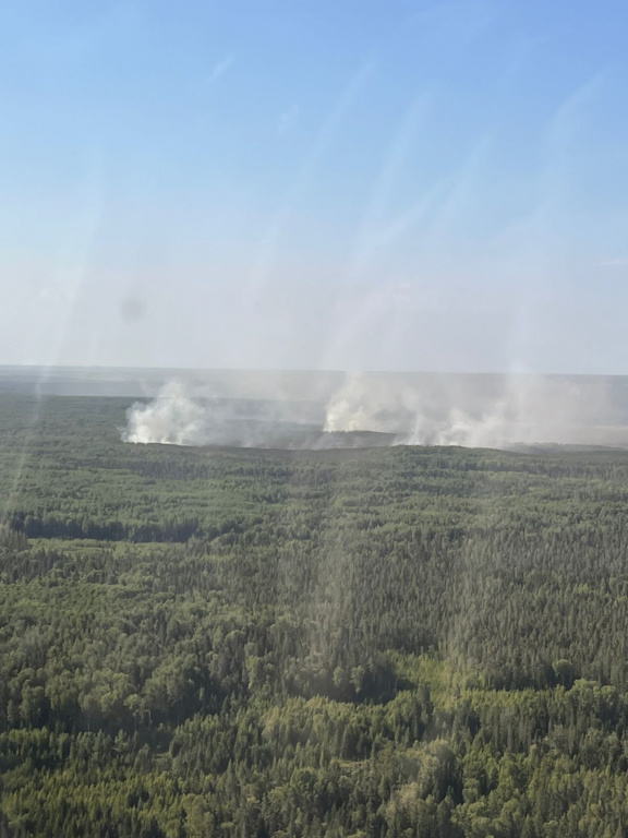В Ломоносовском районе продолжают бороться с очагами возгорания на территории Морозовского лесничества.