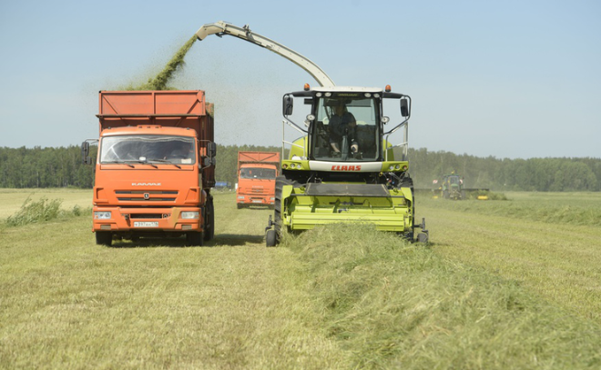 Заготовка кормов началась в трёх районах Ленинградской области