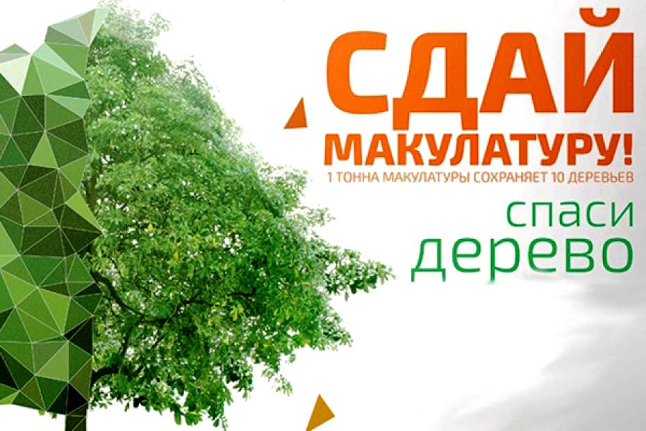 С 01 октября по 14 октября 2020 года в Ленинградской области пройдет Эко-марафон «Сдай макулатуру – Спаси дерево!» 