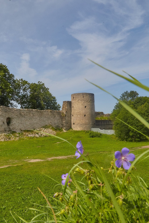 1 августа – День Ленинградской области и Ломоносовского района!