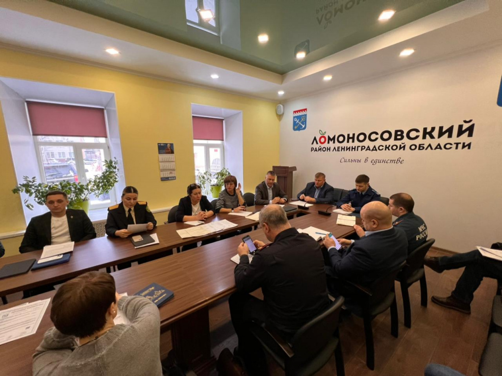 В администрации Ломоносовского района обсудили возможность привлечения к уголовной ответственности причастных к пожару на свалке в Низинском поселении