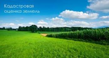 О государственной кадастровой оценке земельных участков в Ленинградской области 