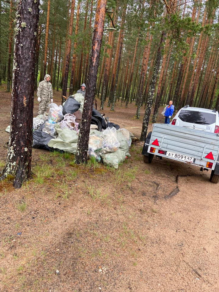 Водоемы Ломоносовского района продолжают очищать от мусора