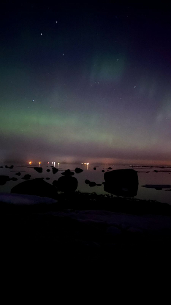 «От Соснового Бора до Лупполово»: северное сияние озарило небо над Ленинградской областью 