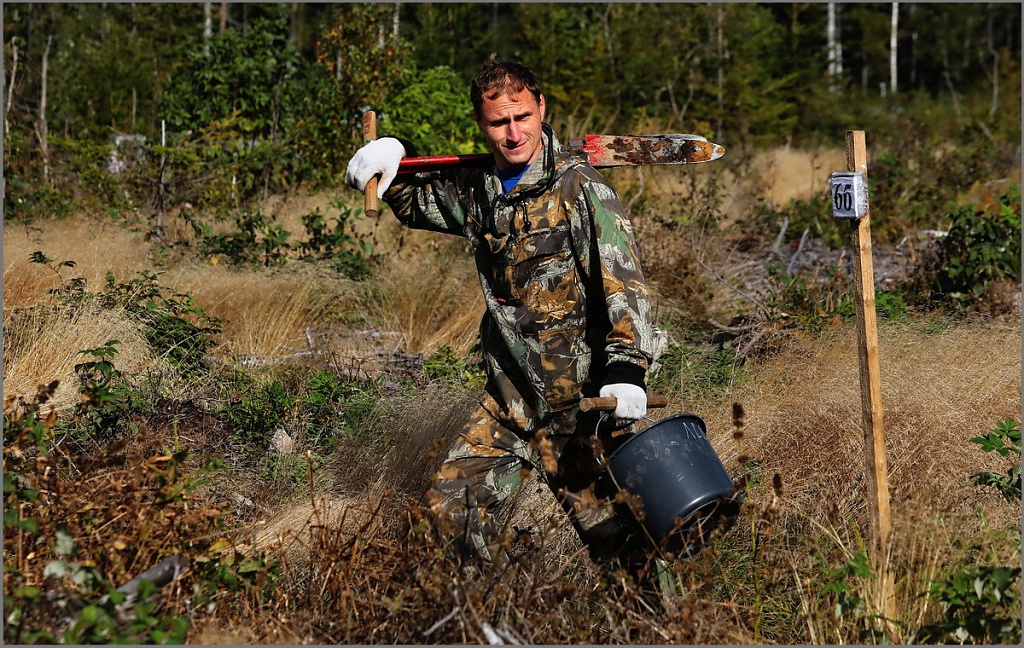 Участники акции "Сохраним лес" засадили саженцами земли Ленинградской области