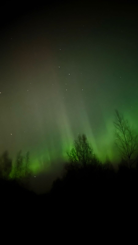 «От Соснового Бора до Лупполово»: северное сияние озарило небо над Ленинградской областью 