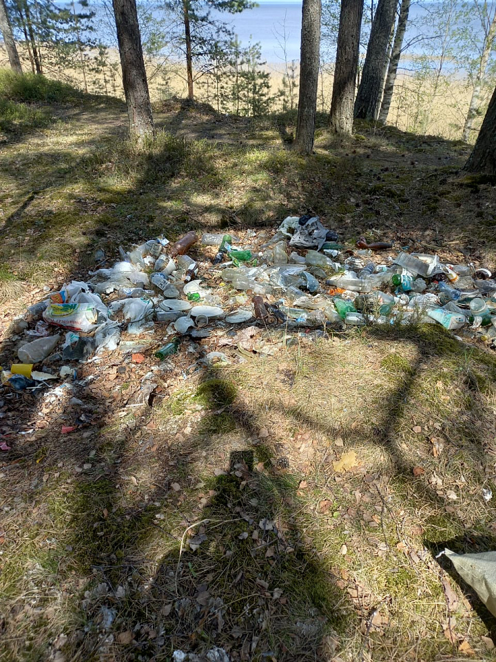 Берег Финского залива и Шингарский пруд очистили от мусора