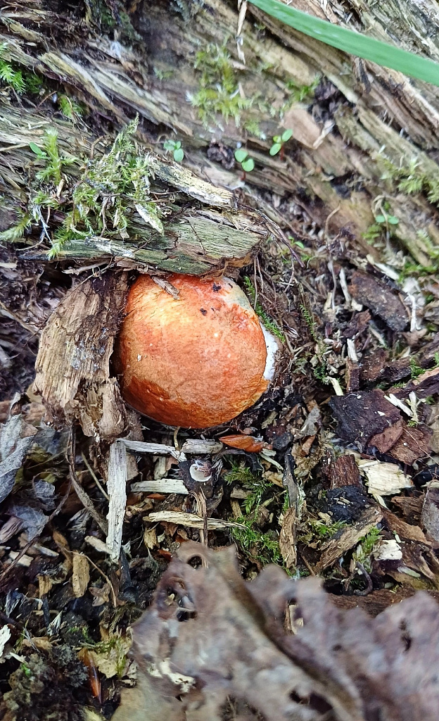 Үйдегі порно войер мастурбация