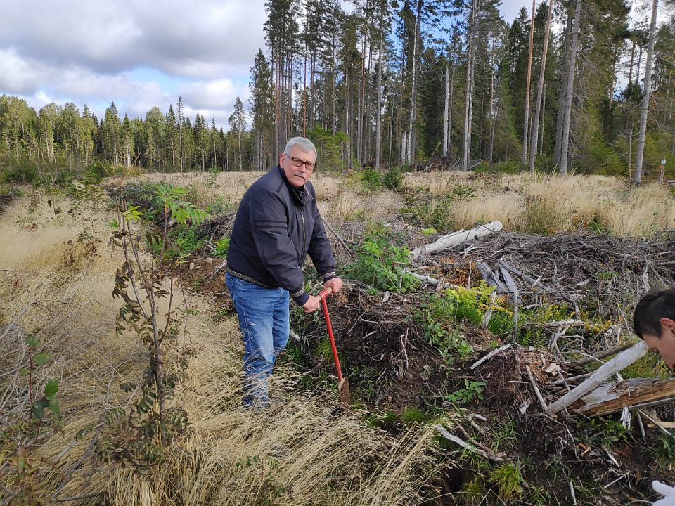 Участники акции "Сохраним лес" засадили саженцами земли Ленинградской области