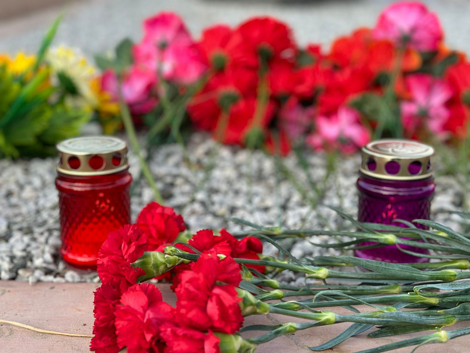 В Ломоносовском районе появился ещё один стихийный мемориал жертвам теракта в «Крокус Сити Холле»
