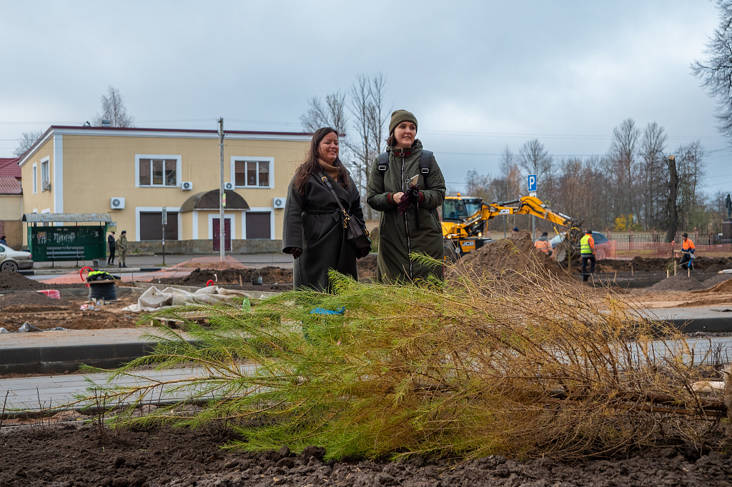 В Лебяженском городском поселении высадили деревья в честь Дня народного единства