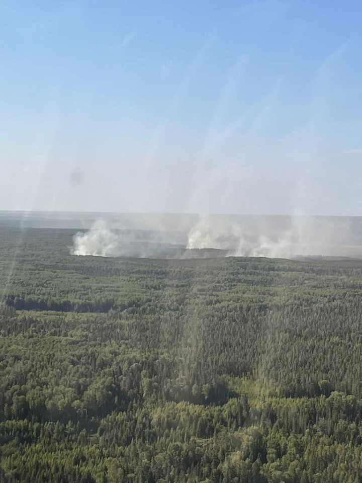 В Ломоносовском районе продолжают бороться с очагами возгорания на территории Морозовского лесничества.