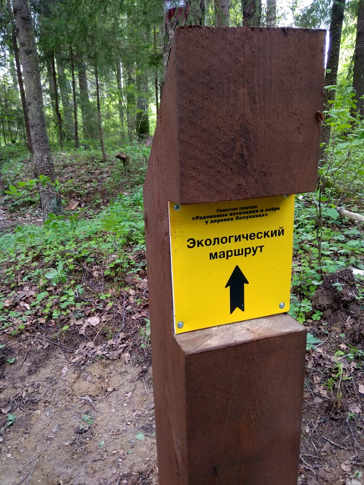 В Ломоносовском районе открыли новую экологическую тропу